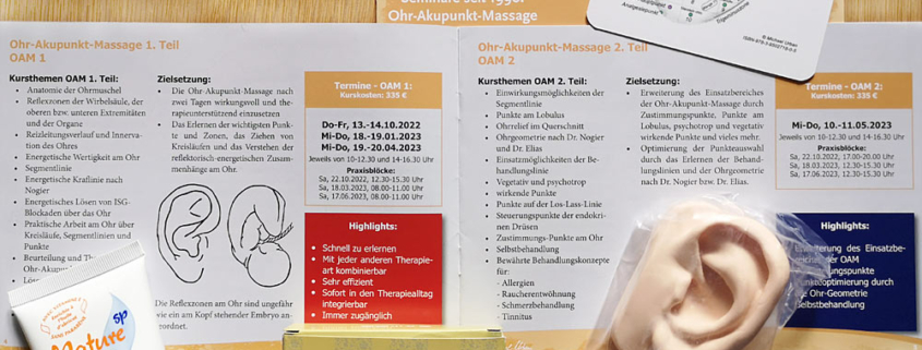 Fortbildung Ohrakupunktmassage mit Michael Urban