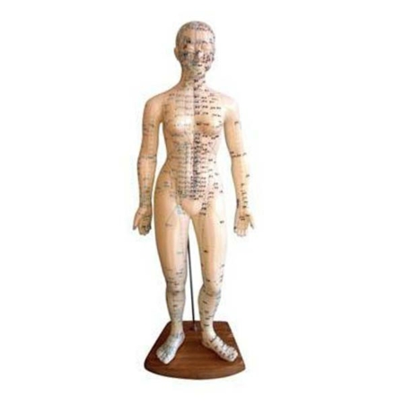 Akupunkturmodell weiblich 48 cm