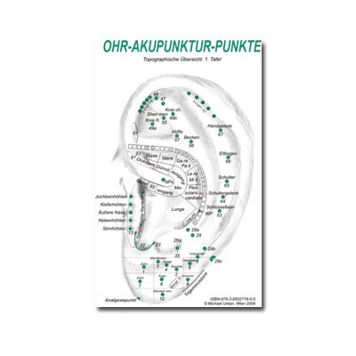 Wandtafel Ohrakupunktmassage-OAM 1, kartonstark