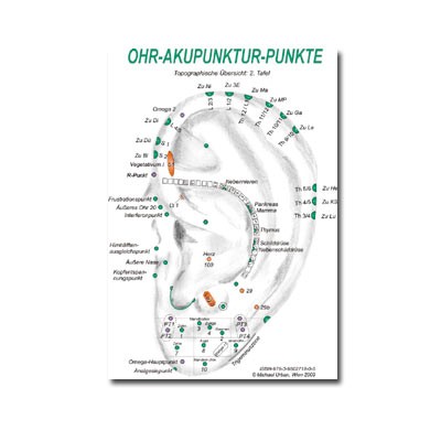 Wandtafel Ohrakupunktmassage-OAM 2, kartonstark