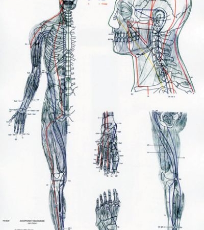 Meridian-Lehrtafel, beidseitig, A4, foliert