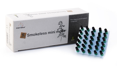 meridius Klebemoxa mini, raucharm, 180 Stk.