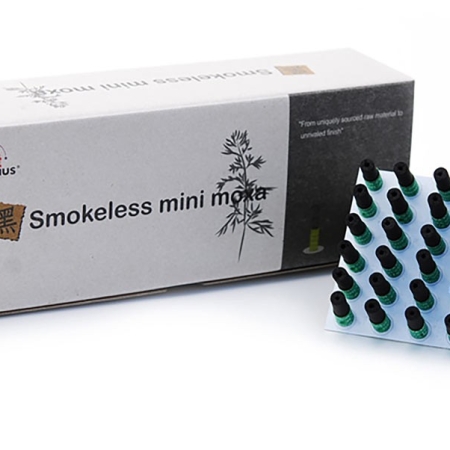 meridius Klebemoxa mini, raucharm, 180 Stk.